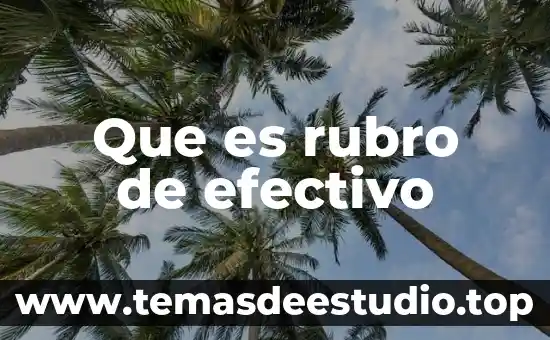 Que es el rubro en el plan de cuentas 3 Que es rubro de efectivo