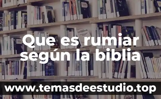 Qué es el significado según 7 Que es rumiar según la biblia