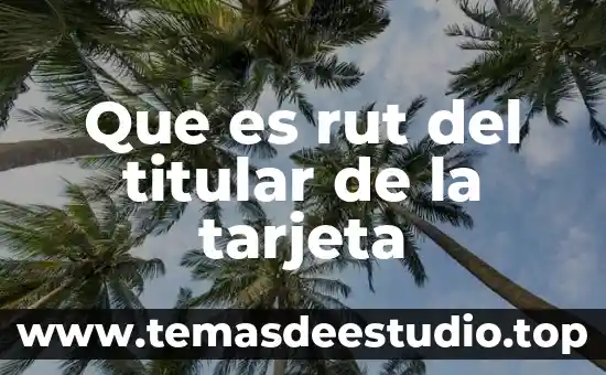 Qué es tarjeta osciloscopio 3 Que es rut del titular de la tarjeta