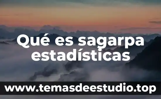 Que es un grafica de datos o estadísticas 4 Qué es sagarpa estadísticas
