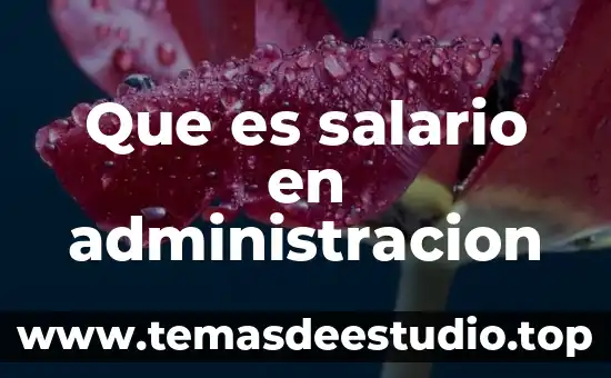 Que es la pótesis en una investigación 7 Que es salario en administracion