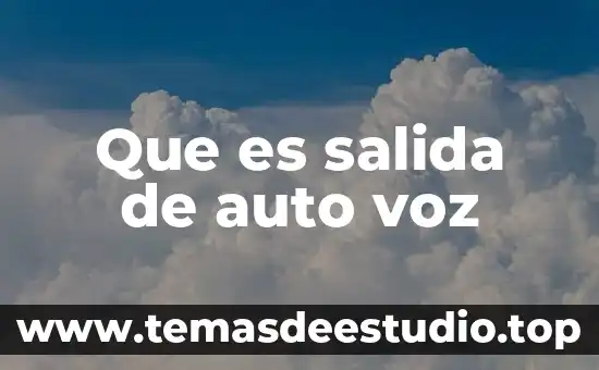 Que es salida de auto voz