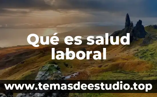 Que es argumento de la salud 3 Qué es salud laboral