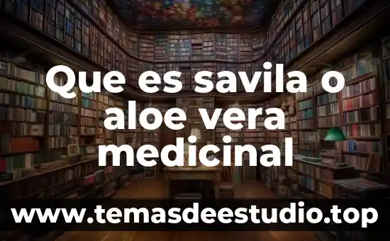 Que es una planta medicinal oms 2017 3 Que es savila o aloe vera medicinal