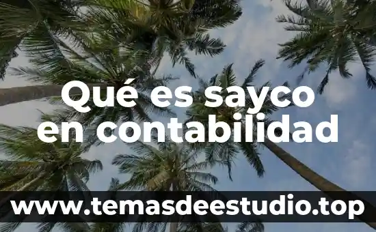 Qué es sayco en contabilidad
