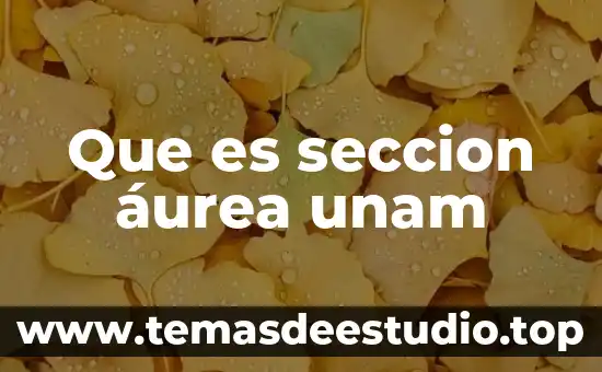 Que es pornografia unam 8 Que es seccion áurea unam