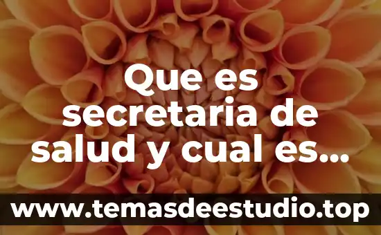 Que es un historiador y cual es su función 6 Que es secretaria de salud y cual es su funcion