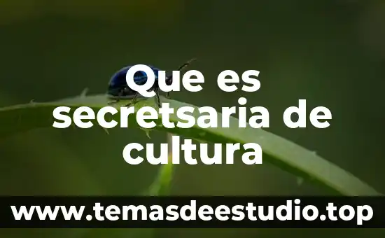 Que es cultura la guia 3 Que es secretsaria de cultura