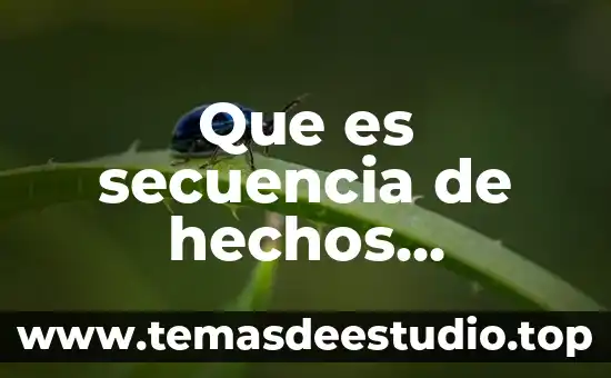 Que es un organizador de conocimiento 3 Que es secuencia de hechos organizador grafico