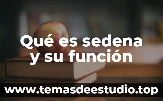 Que es un texto argumentativo y su funcion 8 Qué es sedena y su función