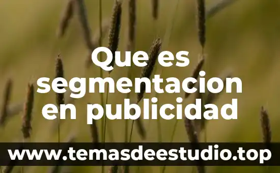 Que es un patrocinio en publicidad 4 Que es segmentacion en publicidad
