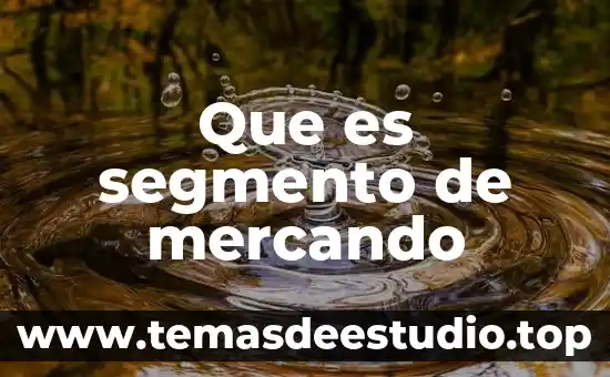 Que es pileta publica 5 Que es segmento de mercando