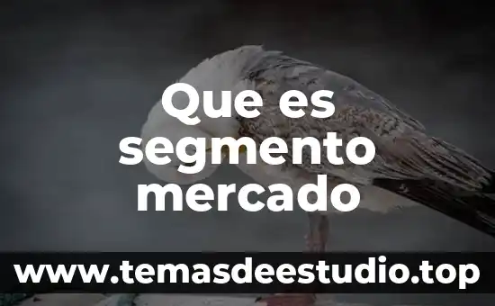 Que es segmento mercado
