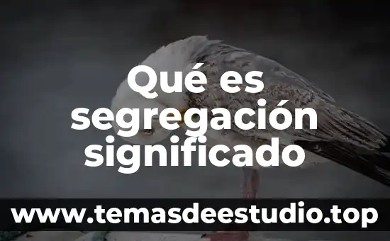 Qué es el significado brunner 5 Qué es segregación significado
