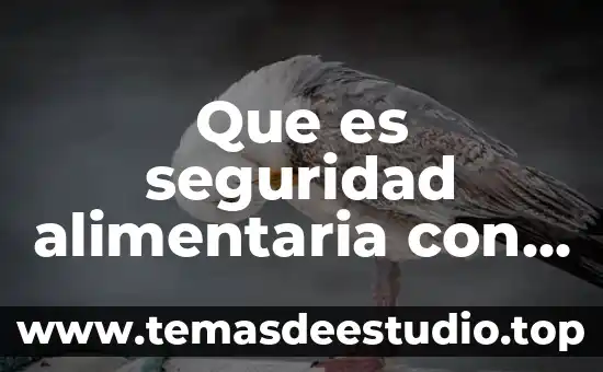 Que es seguridad alimentaria con soberania