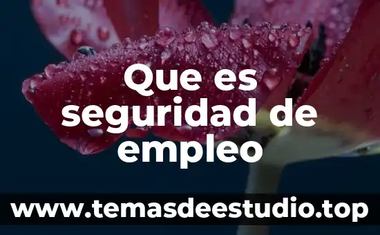 Obesidad que es y concepto 5 Que es seguridad de empleo