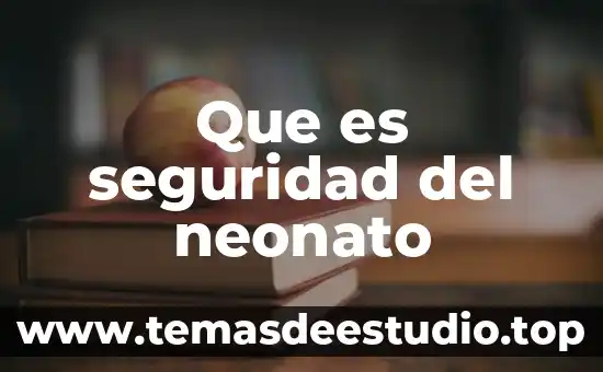 Qué es la seguridad jurídica en Argentina 3 Que es seguridad del neonato