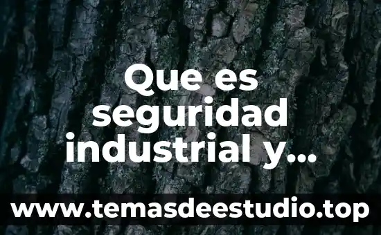 Qué es el ambiente y la cultura corporativa 4 Que es seguridad industrial y medio ambiente
