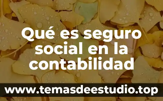 Qué es seguro social en la contabilidad