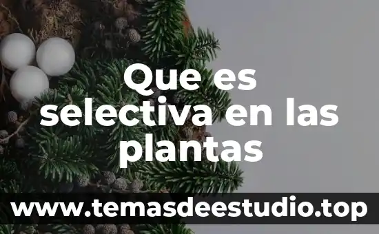 Que es la paradoja de la informacion 3 Que es selectiva en las plantas