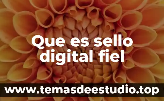 Que es sello en informatica 5 Que es sello digital fiel