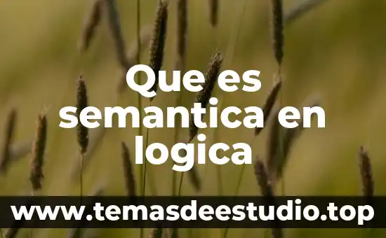 Que es semantica en logica