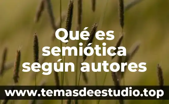 Qué es semiótica según autores