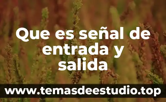 Que es la salida triger panel vista 48 5 Que es señal de entrada y salida