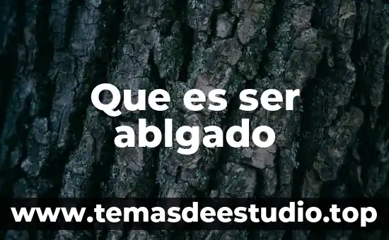 Que es ser eficaz y eficiente referente a la arquitectura 6 Que es ser ablgado