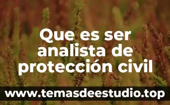 Que es ser analista de protección civil