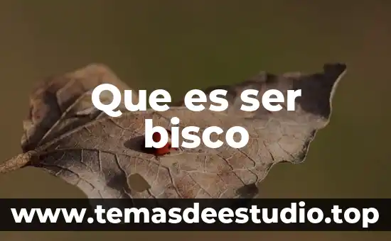 Que es ser bisco