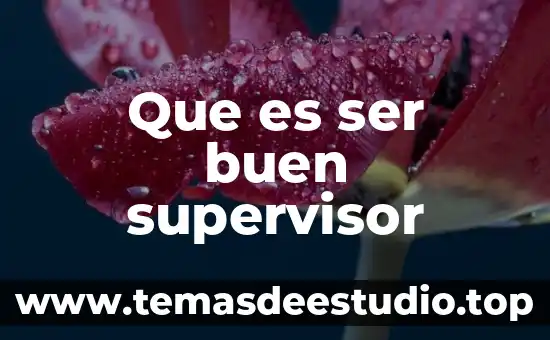 Que es ser empleado del sector privado 5 Que es ser buen supervisor