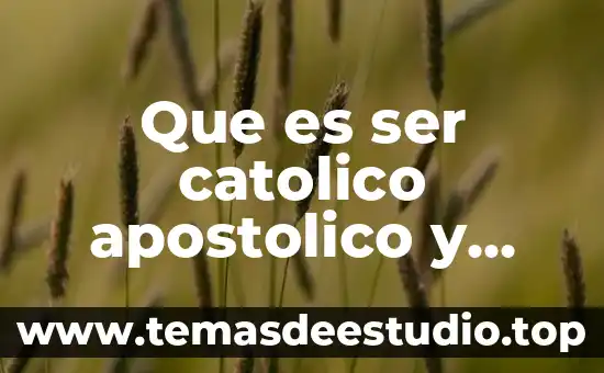 Que es el conocimiento filosofico trackid sp-006 6 Que es ser catolico apostolico y romano trackid sp-006
