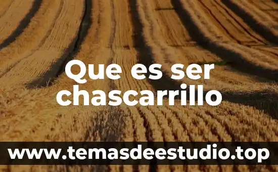 Que es un ser homocigotico 5 Que es ser chascarrillo