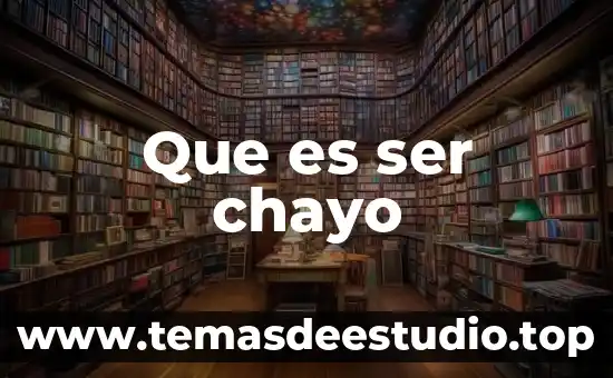 Que es ser excesivo 3 Que es ser chayo