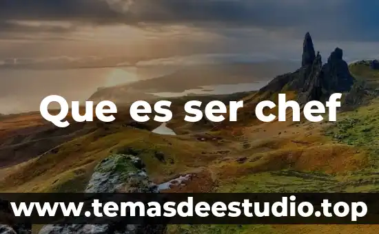 Que es la evaluacion del desampeño 3 Que es ser chef