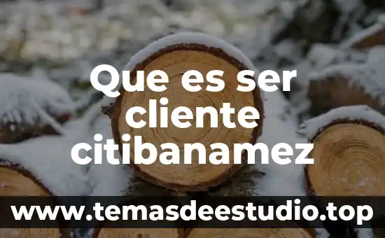 Que es ser cliente citibanamez