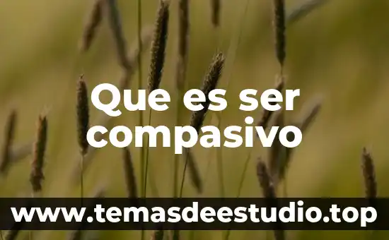 Que es ser sedentario significado 4 Que es ser compasivo
