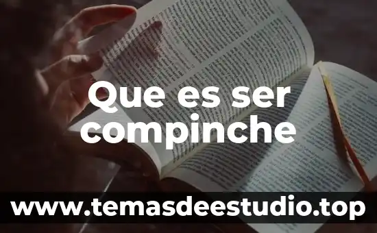 Que es ser compinche