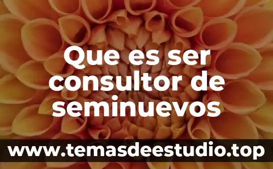 Qué es un consultor administrativo 5 Que es ser consultor de seminuevos