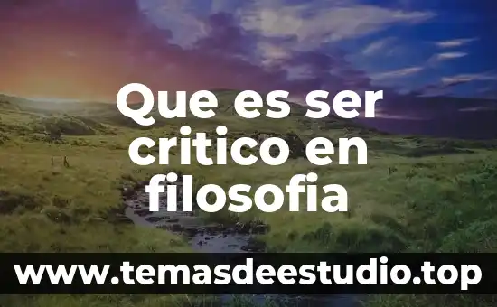 Que es ser critico segun 3 Que es ser critico en filosofia