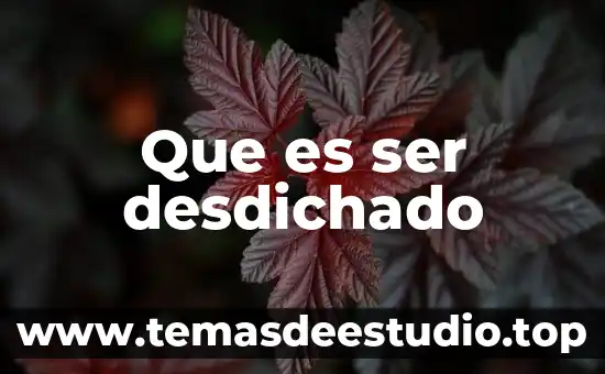 Qué es mejor para un país ser socialista o capitalista 6 Que es ser desdichado