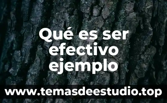 Que es ser excesivo 5 Qué es ser efectivo ejemplo