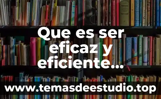 Que es ser eficaz y eficiente referente a la arquitectura