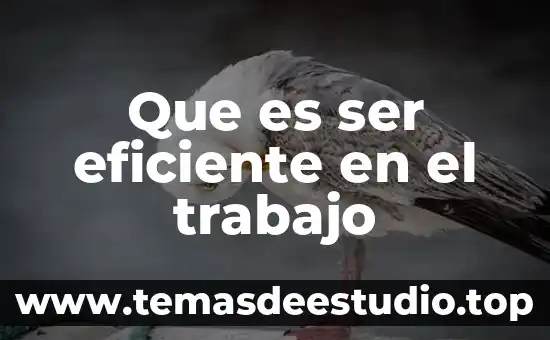 Que es ser eficiente en el trabajo