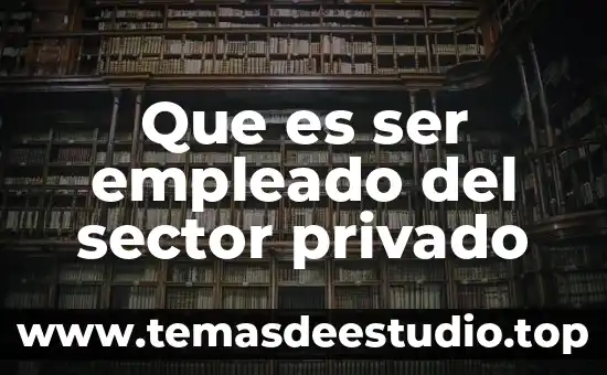 Que es ser buen supervisor 8 Que es ser empleado del sector privado