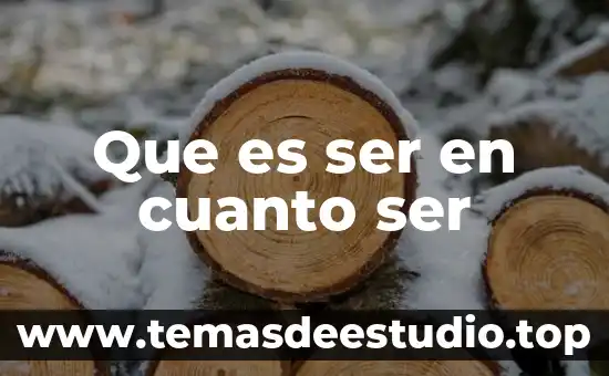 Que es ser en cuanto ser
