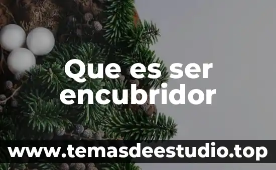 Que es ser encubridor