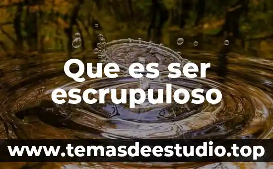 Que es ser escrupuloso