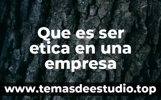 Qué es jerarquización de las variables tipos y ejemplos 7 Que es ser etica en una empresa